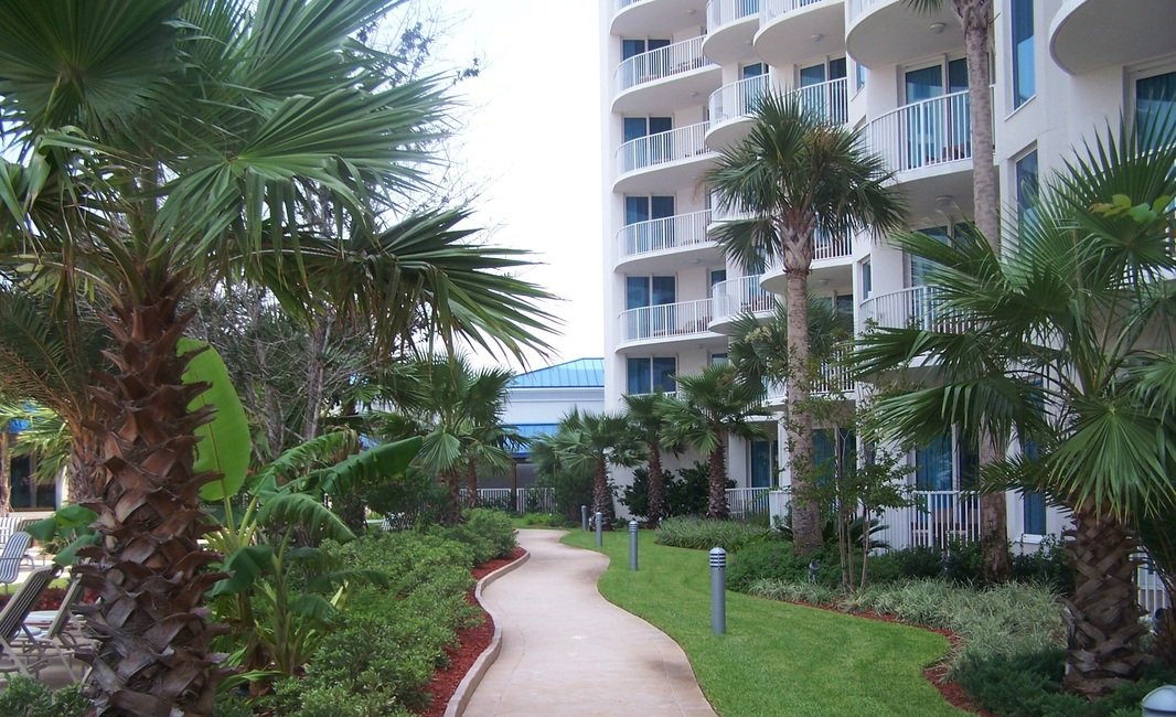 A winding palm-lined walkway through resort planting at The Palms of Destin